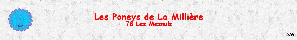 Les Poneys de La Millière